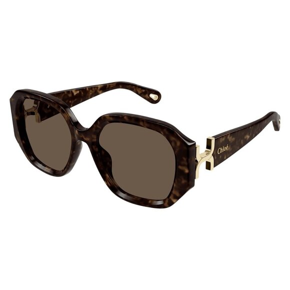 New CHLOE Havana Square CH0236S 002 Sunglasses Women - Picture 1 of 4